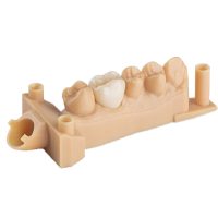 China Outsourcing Dental