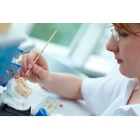 Crown Bridge Zirconia China Dental Lab